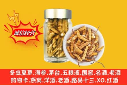 石家庄灵寿县回收散虫草