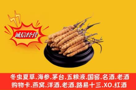 石家庄灵寿县名酒回收冬虫夏草.jpg